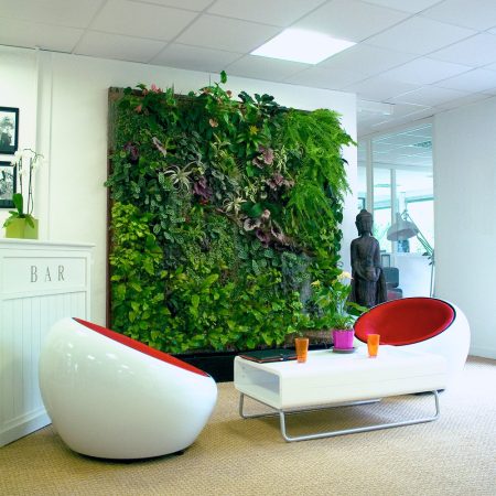 Alive interior wall, green wall, biophilic office design and pot plants, green space, near London.