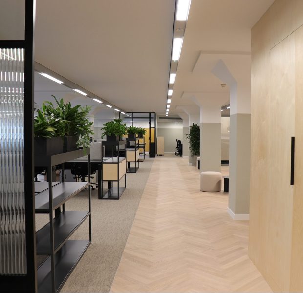 Plug and play scheme in a workplace decorated with neutral parquet flooring, open plan workspace and wooden storage wall.