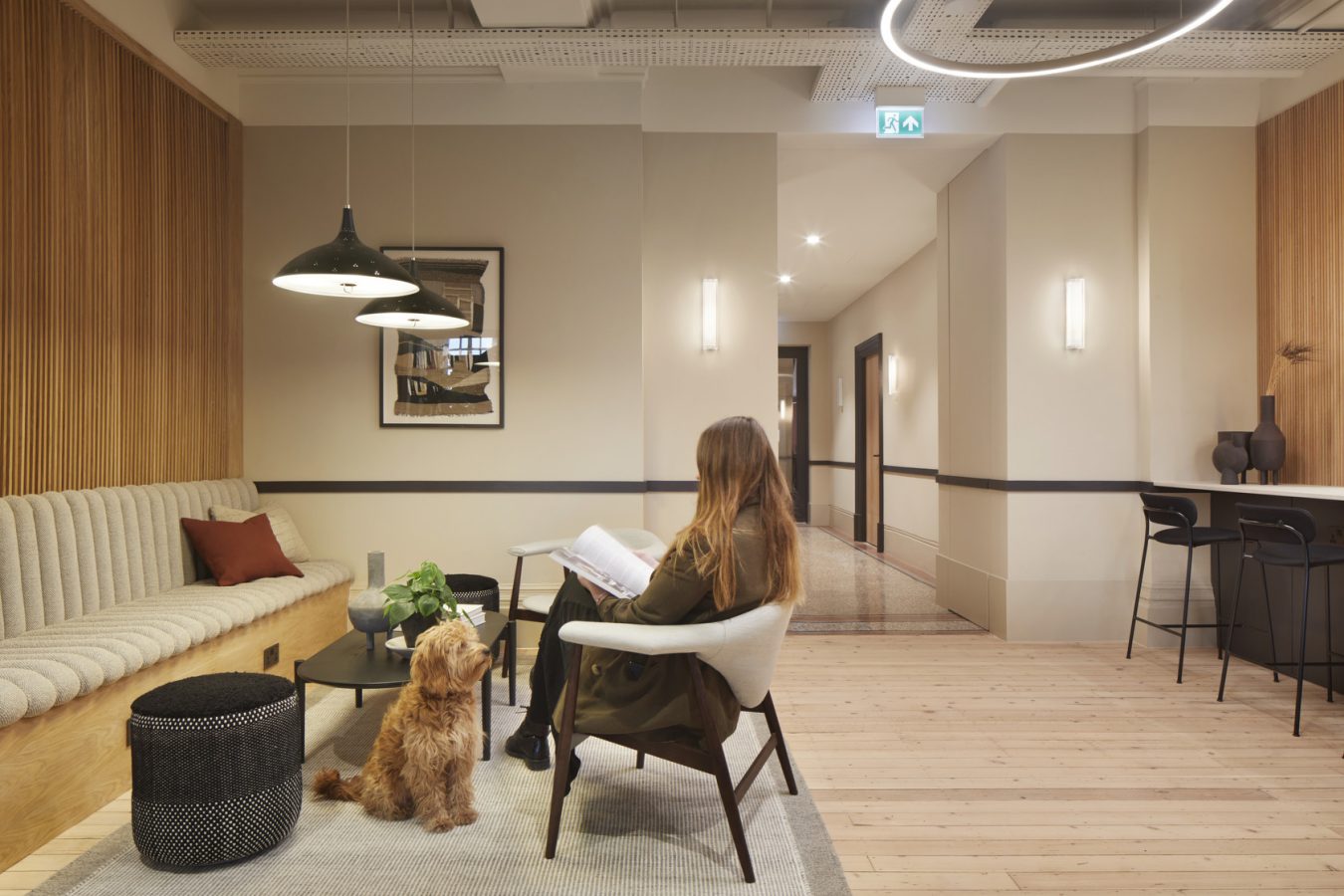 Self-serviced offices that allow dogs in.