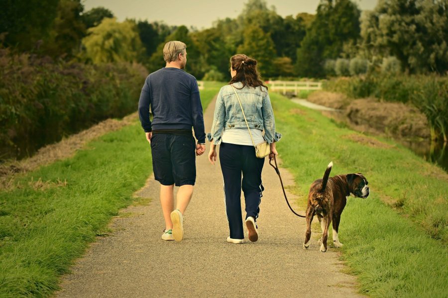 Couple and a dog walking in the park